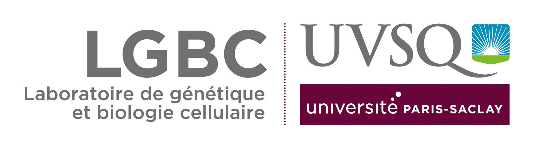 UVSQ | Université Paris-Saclay | Aller à la page d'accueil